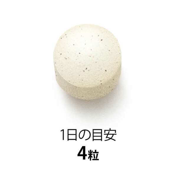 Mama Lula Folate & Iron Plus 30-day - imy Shop Japan