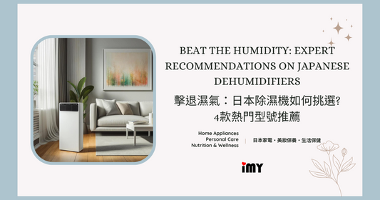 Beat the Humidity: Expert Recommendations on Japanese Dehumidifiers