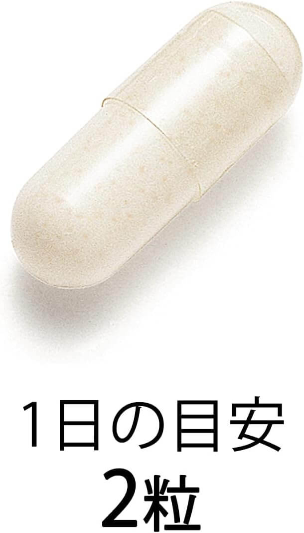 腸道健康支援 30日份