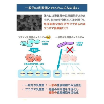 免疫支援錠 30天份