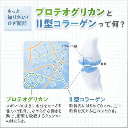 輕鬆膝蓋 30日份