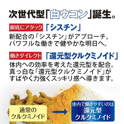 薑黃革命EX 10日份（10包）