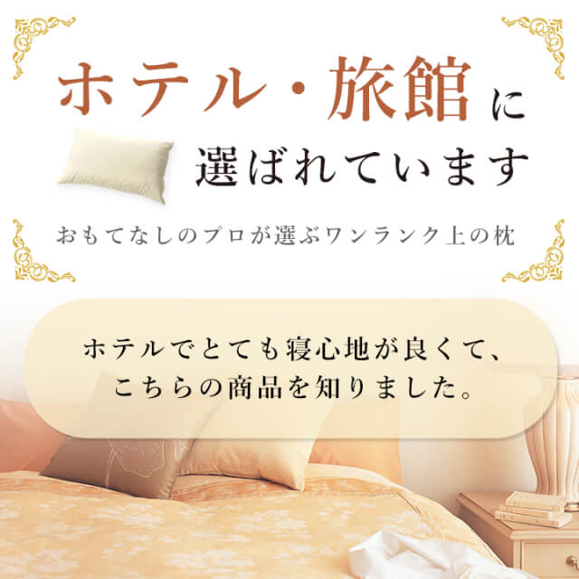 Sleep Artist Fether Pillow 43 x 63cm - imy Shop Japan