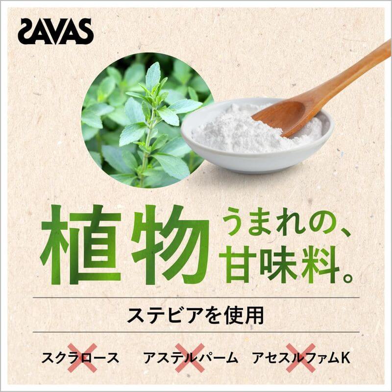 SAVAS SOY PROTEIN 100 900g SOY-PROTEIN-100
