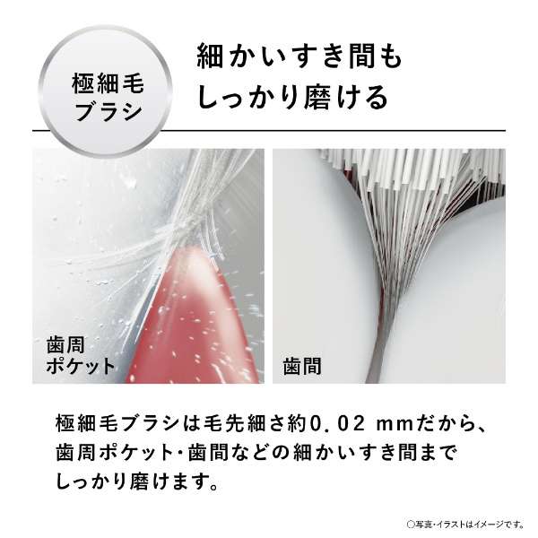 Doltz Sonic Electric Toothbrush EW-DM63-W - imy Shop Japan
