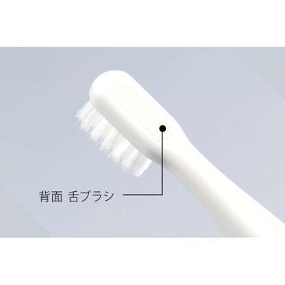 Electric Toothbrush pocket Doltz (Doltz Portable) EW-DS42 - imy Shop Japan