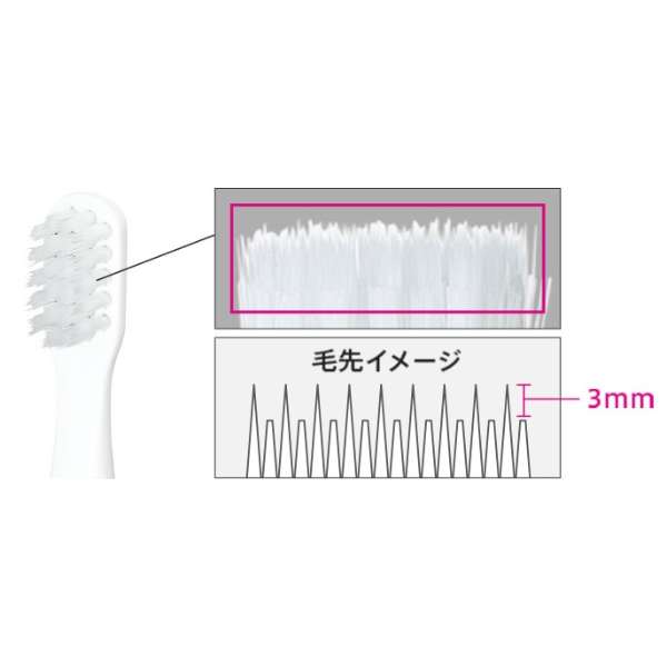 Electric Toothbrush pocket Doltz (Doltz Portable) EW-DS42 - imy Shop Japan