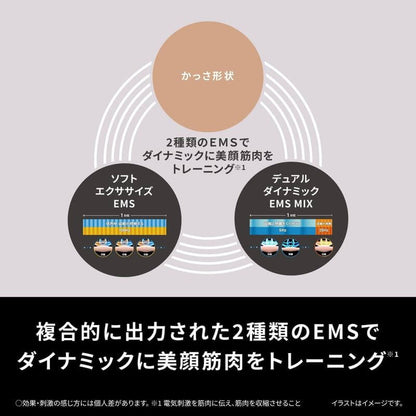 Vita Lift Facial Kassa Gua Sha Tool, Lift Care EH-SP86-K