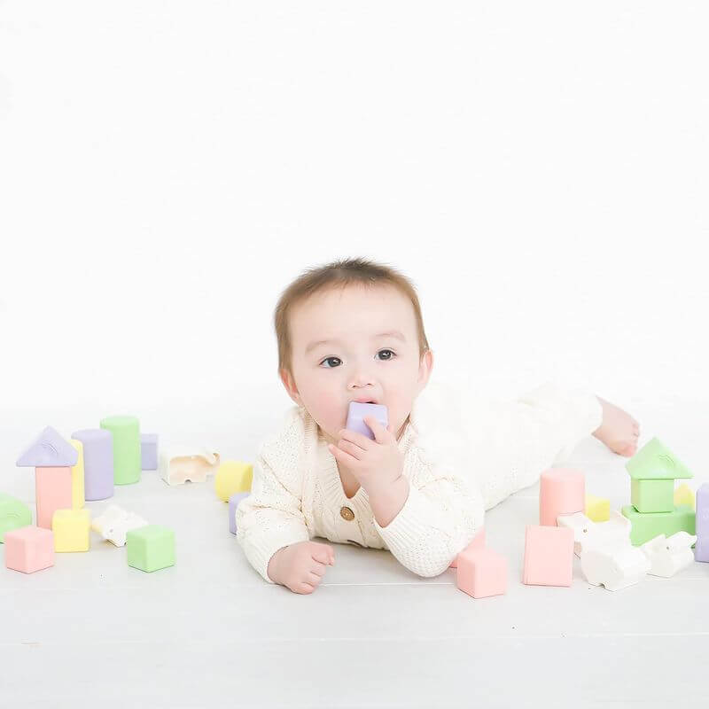 天然純米動物積木 29入, 日本製 KM-029