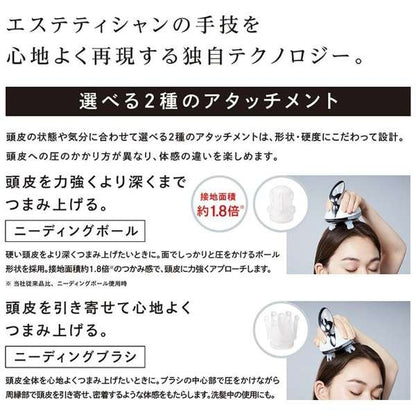 BEAUTECH HEAD SPA Scalp Massager RE-AP-0 - imy Shop Japan
