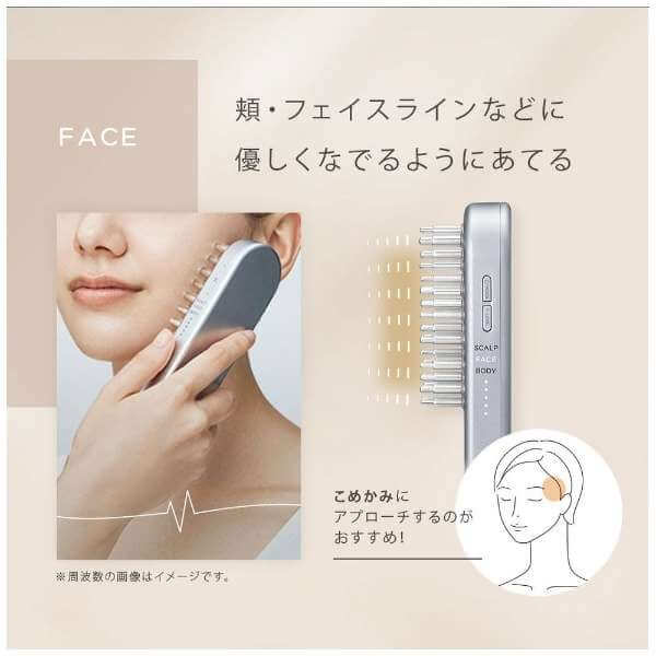 SALONIA-EMS Lift-Care Beauty Device SAL22206SL｜imy Shop Japan