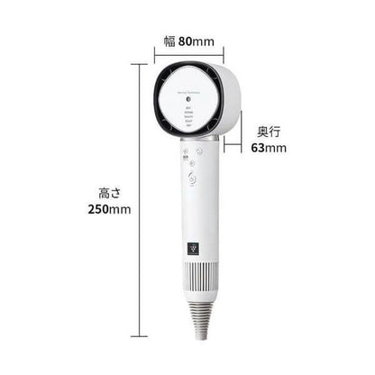 正負離子水潤溫控吹風機 IB-WX901