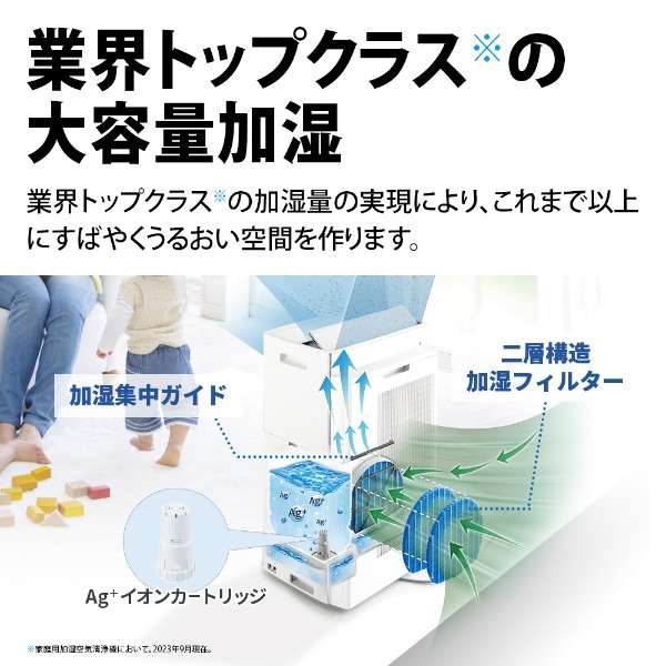 Humidifying Air Purifier KI-SX75