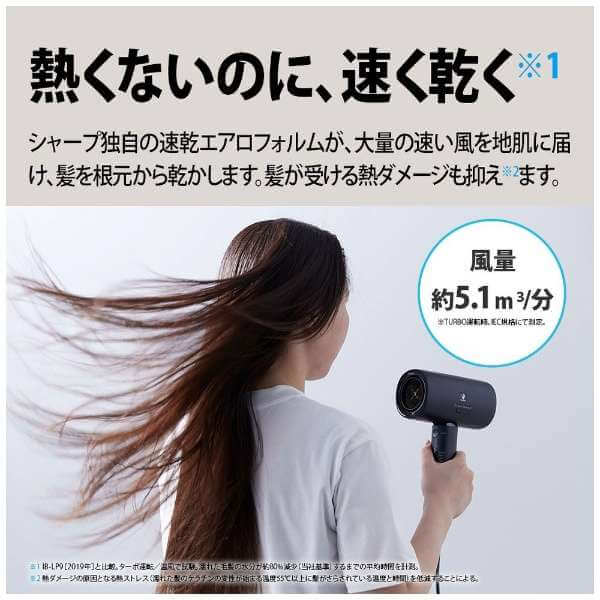 Plasmacluster Beauty Hair Dryer IB-P801