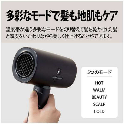 Plasmacluster Beauty Hair Dryer IB-P801