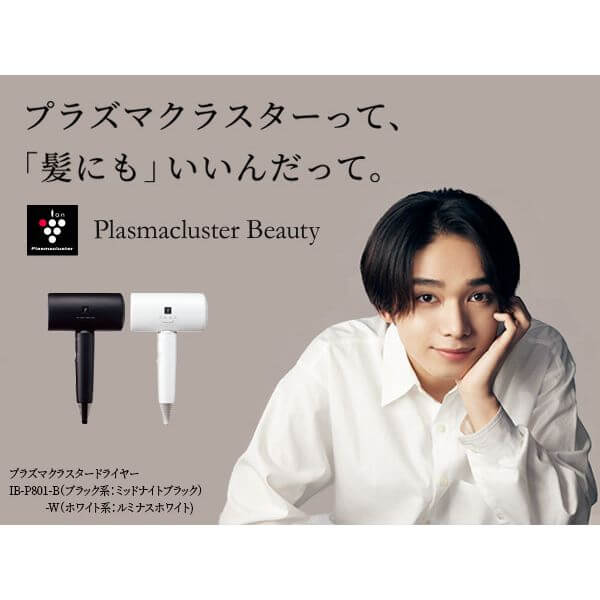 Plasmacluster Beauty Hair Dryer IB-P801