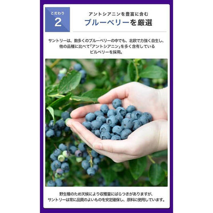 藍莓精華 約30日分/90粒