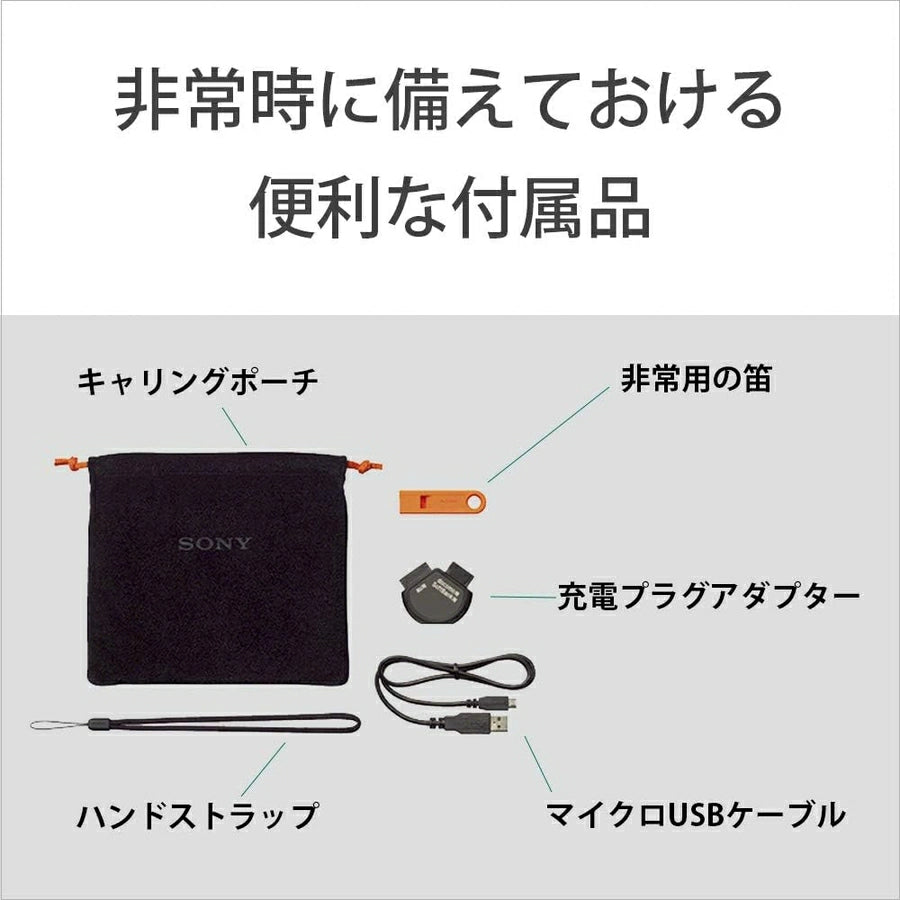 FM/AM Portable Radio ICF-B99 - imy Shop Japan
