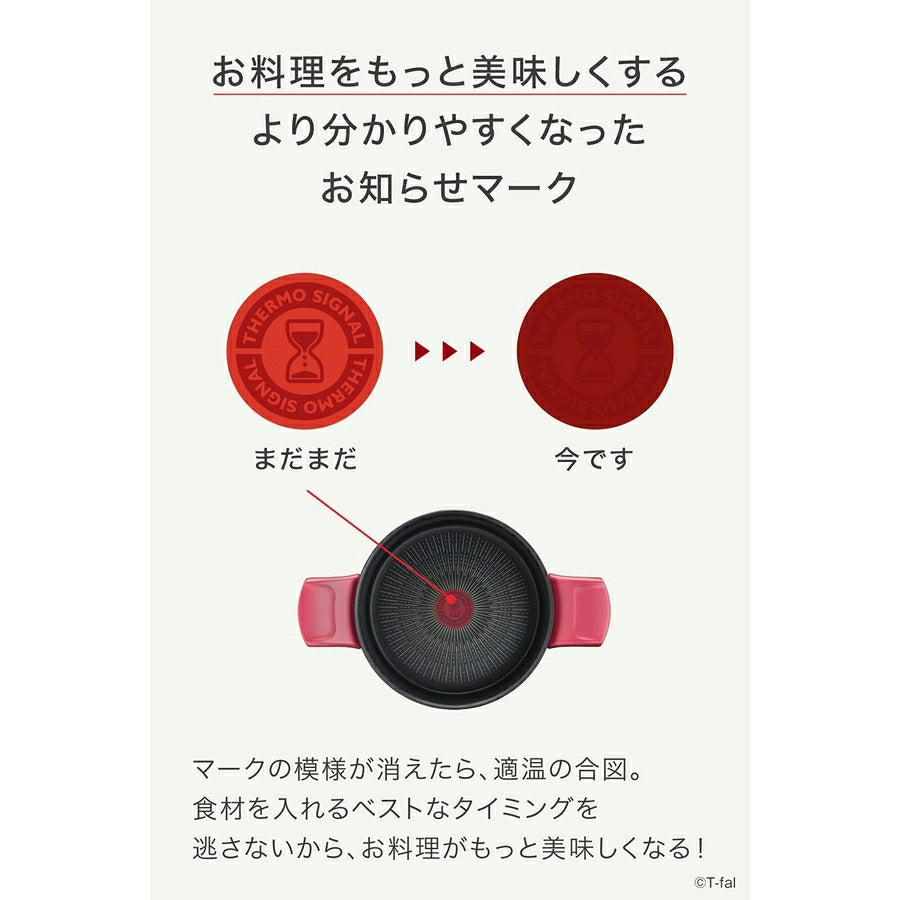 UNLIMITED 2X Rouge Stew Pot 20cm G26244 - imy Shop Japan