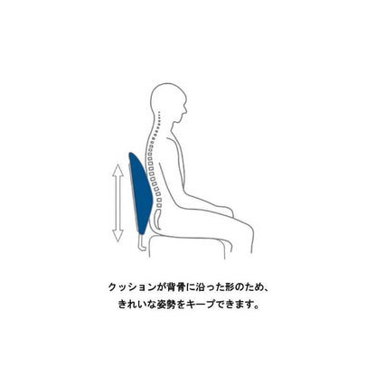 Lumbar Support Cushion 137199 - imy Shop Japan