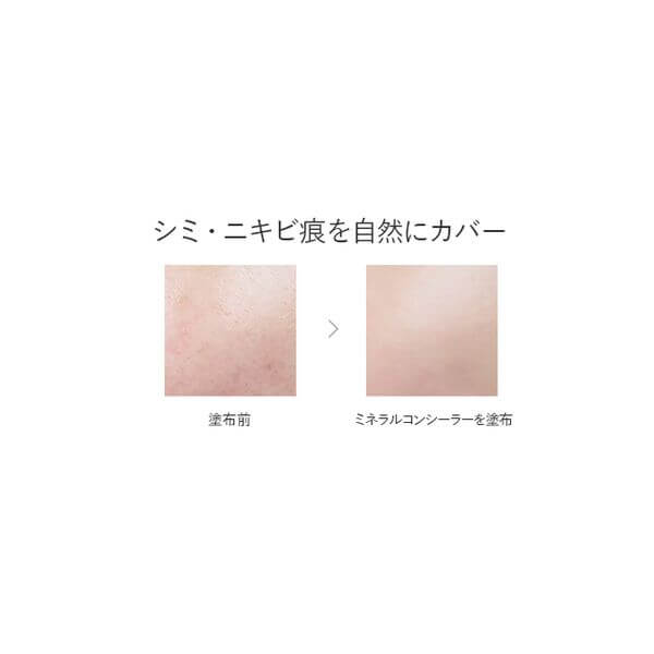 Mineral Concealer Stick, SPF22