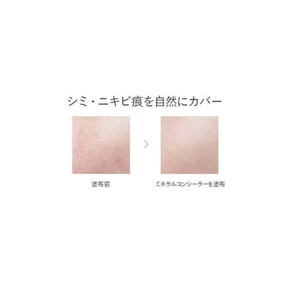 Mineral Concealer Stick, SPF22