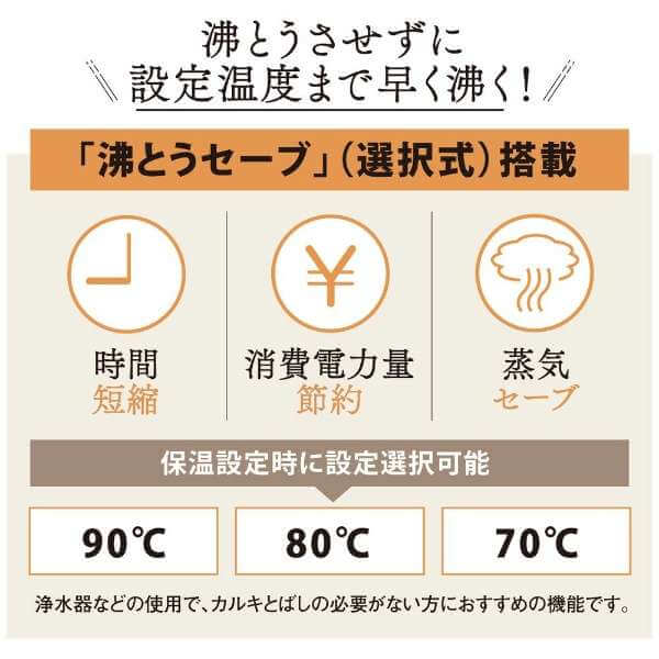 VE Electric Thermos Bottle CV-GC - imy Shop Japan